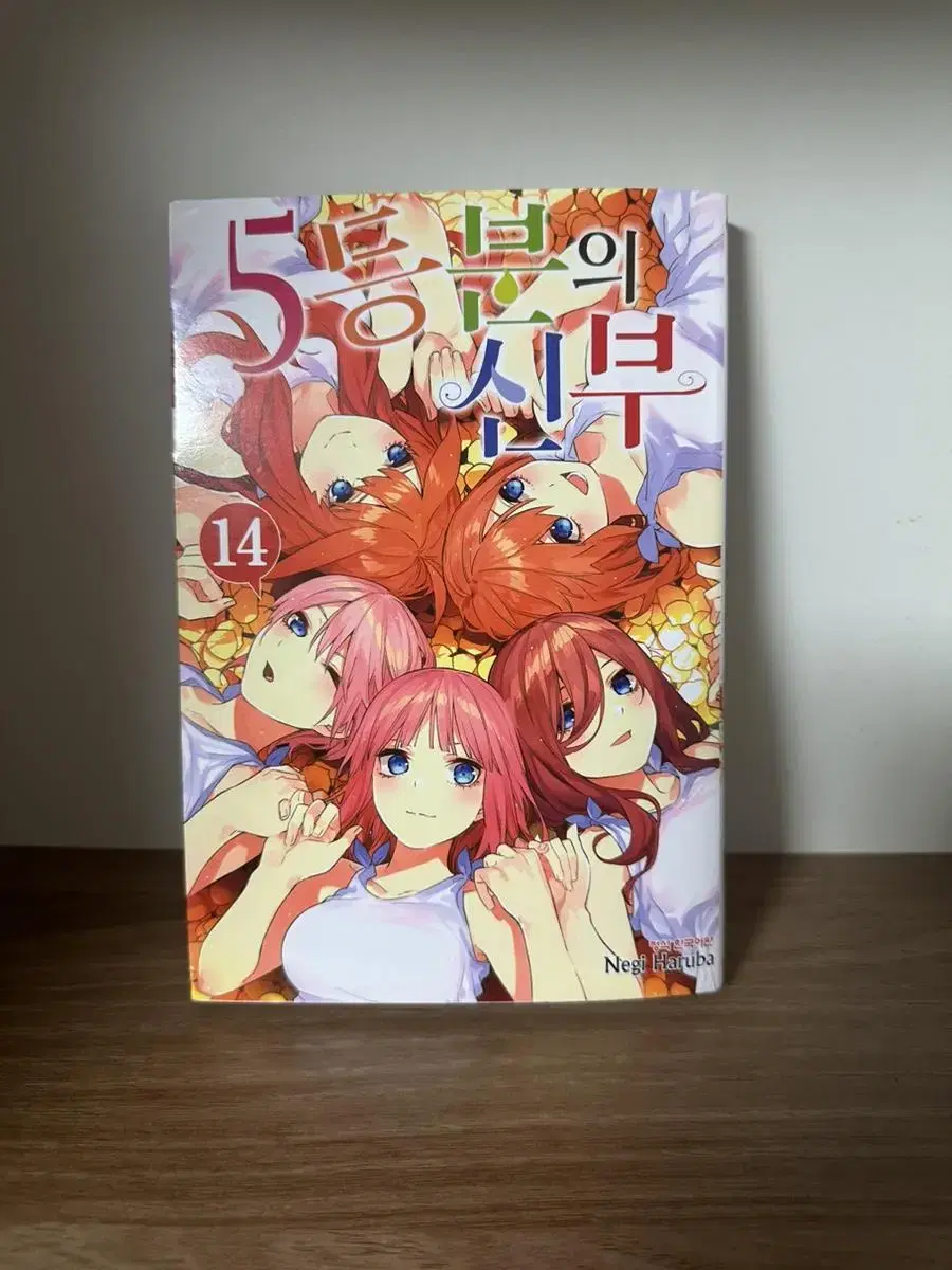 [The Bride of the 5th] The Bride of the 5th Volume 14 Korean Edition