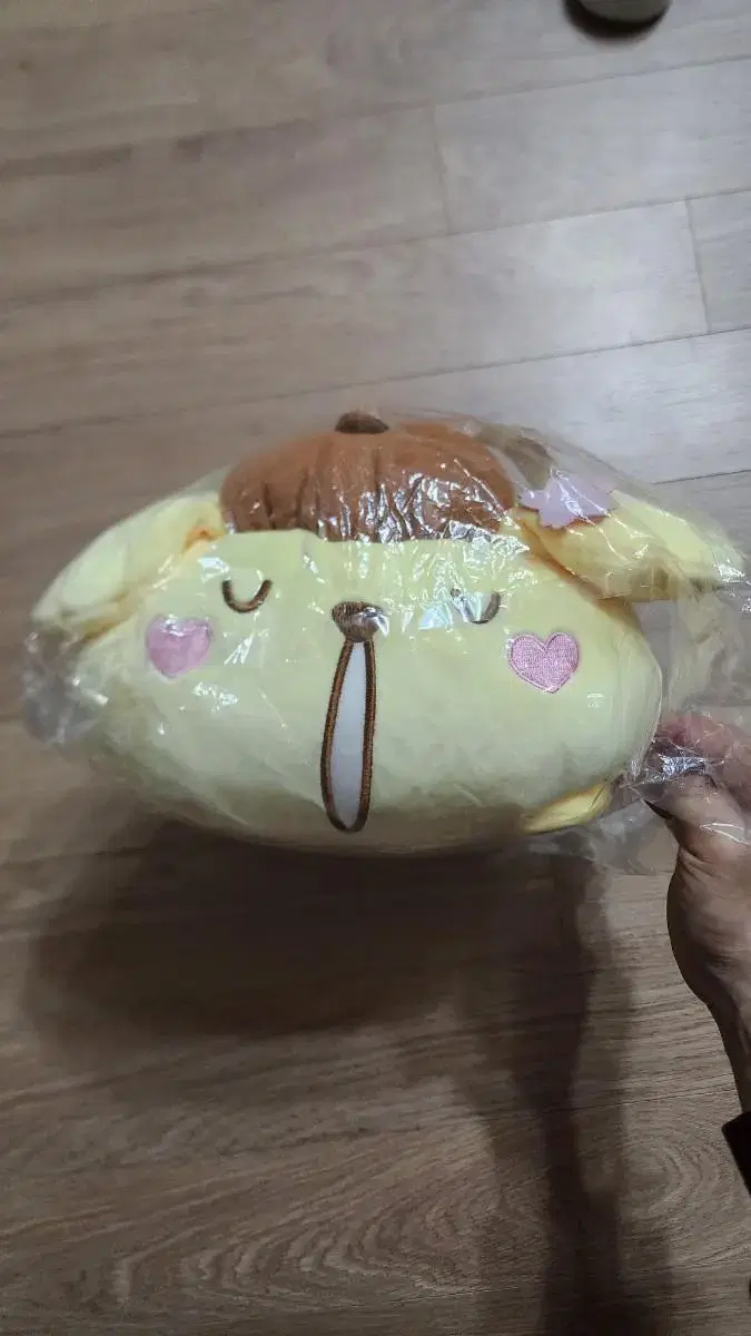 [Genuine Japan] Pompompurin Doll