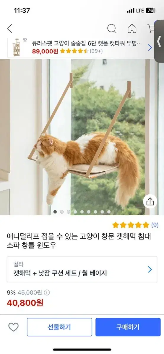 고양이 창문 캣타워