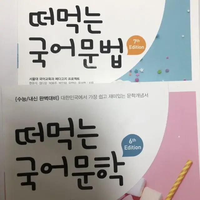 떠먹는 국어 문법, 문학