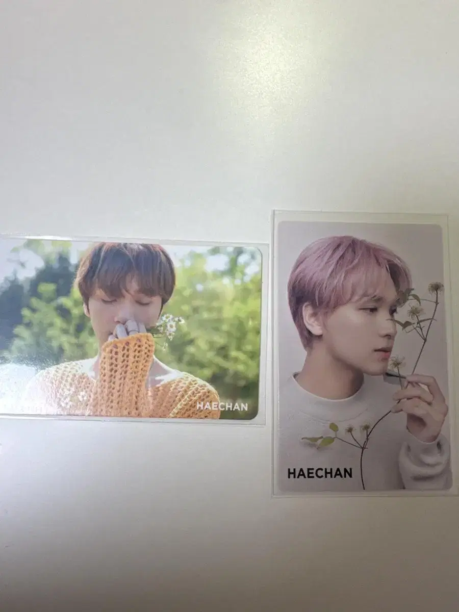 NCT Nature haechan WTS