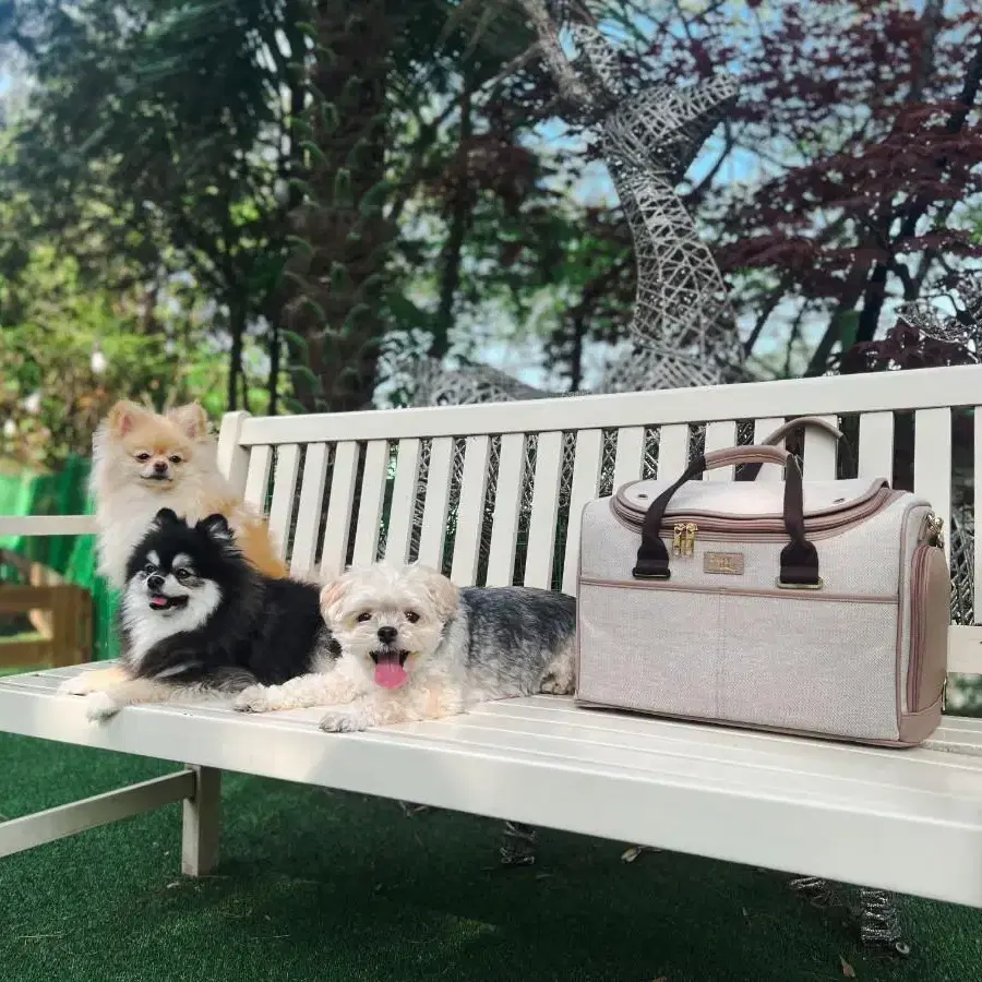 (새상품,쿠션포함)플레이백 럭서리 강아지이동가방 고양이이동가방