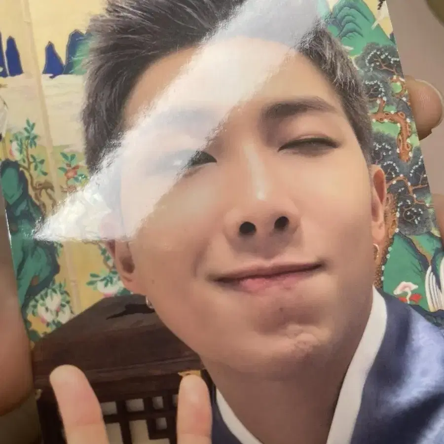 RM  남준 달마중 미니포카 7