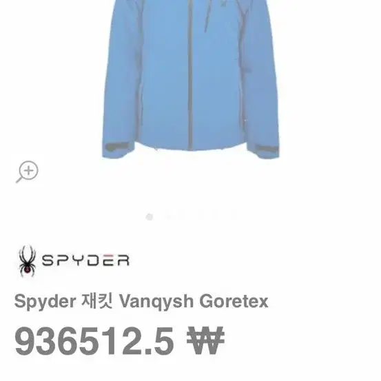 스파이더 Vanqysh GTX 남자 스키복