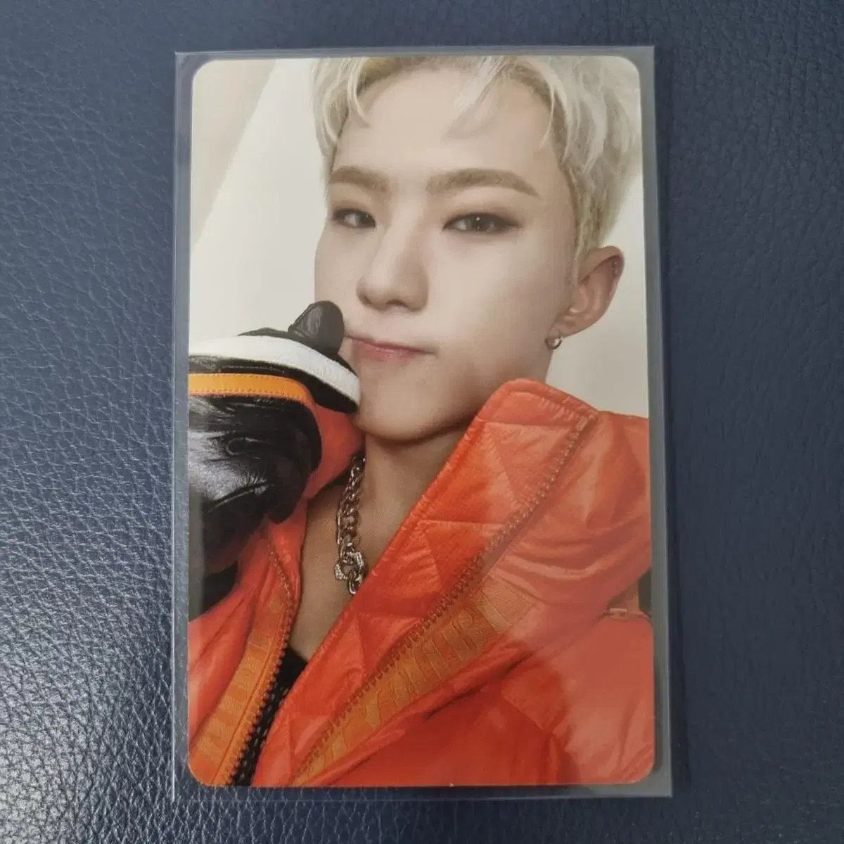 Seventeen thename photocard hoshi