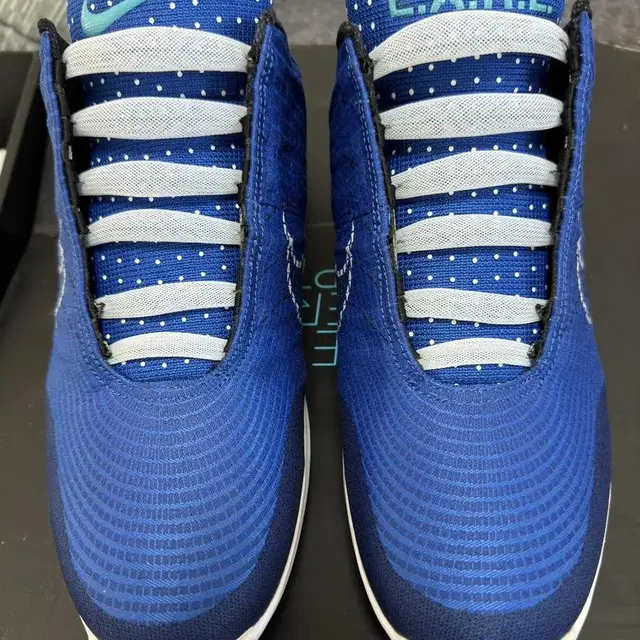 Nike HYPER ADAPT 1.0 Royal