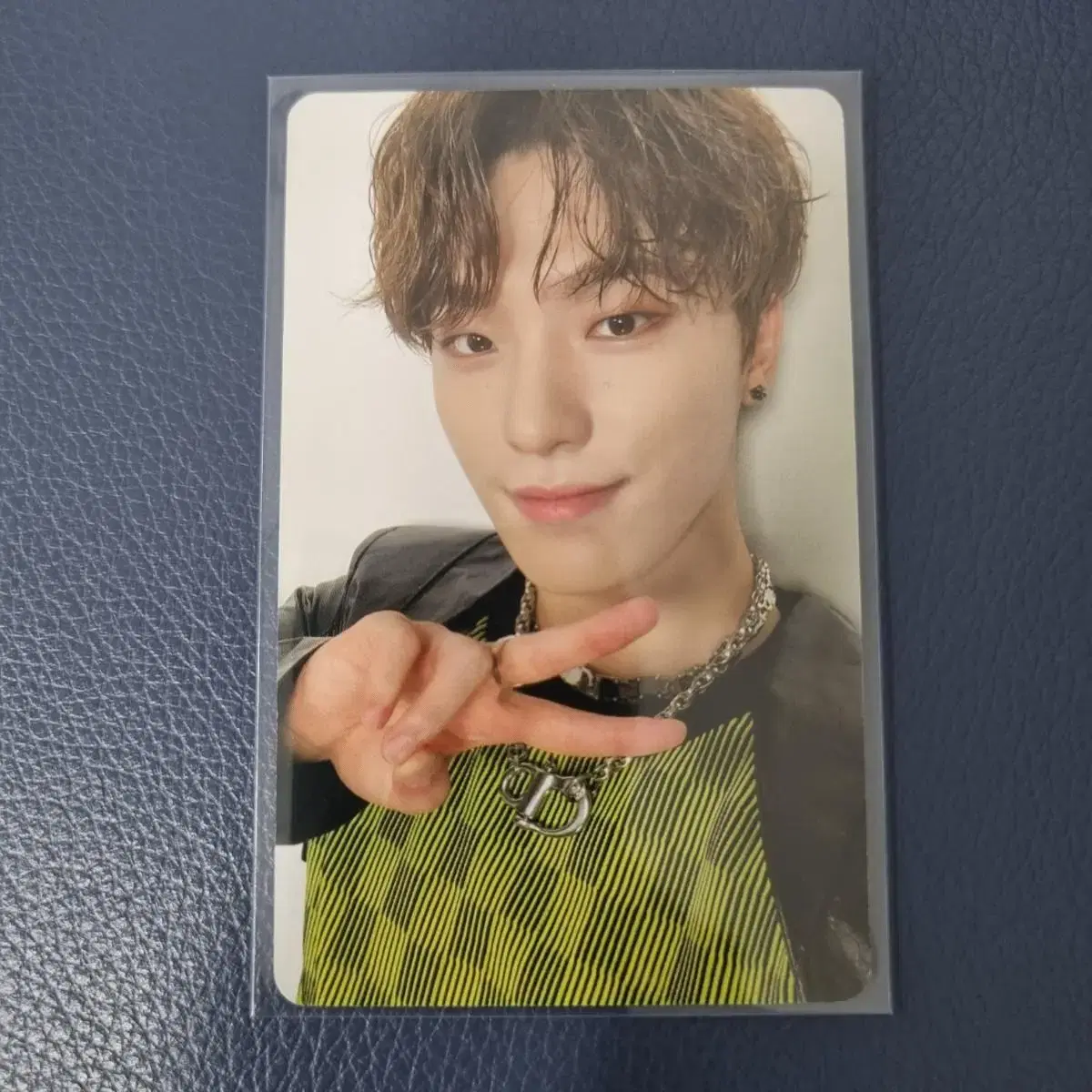 Seventeen thename photocard dino