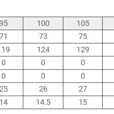 코오롱스포츠 2in1 남성 패딩 점퍼 새제품