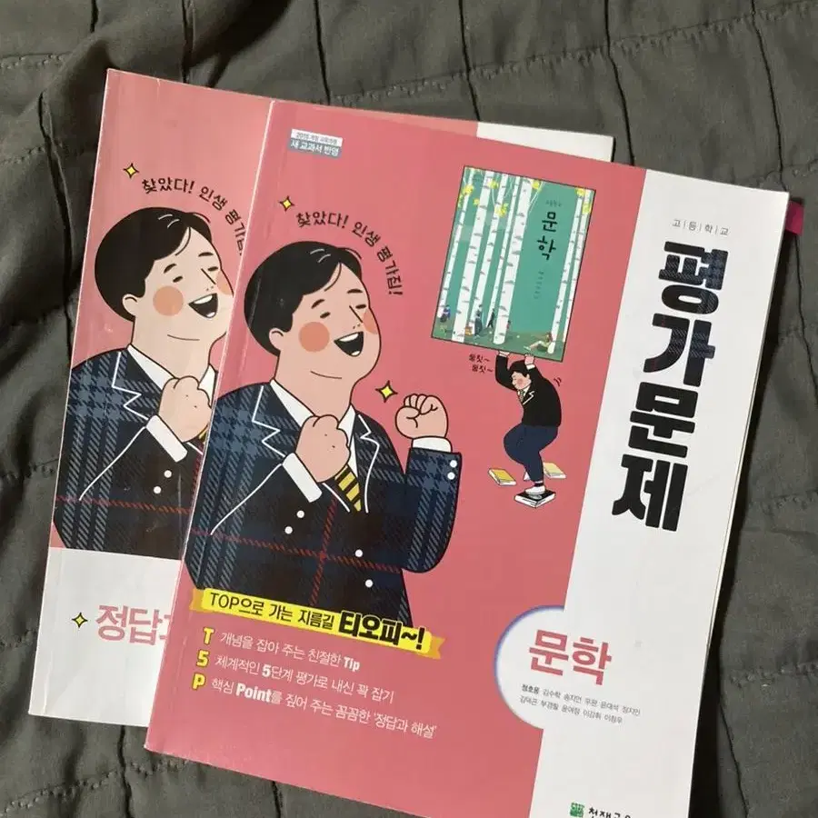 <급처/급전> 문학 천재정 평가문제집