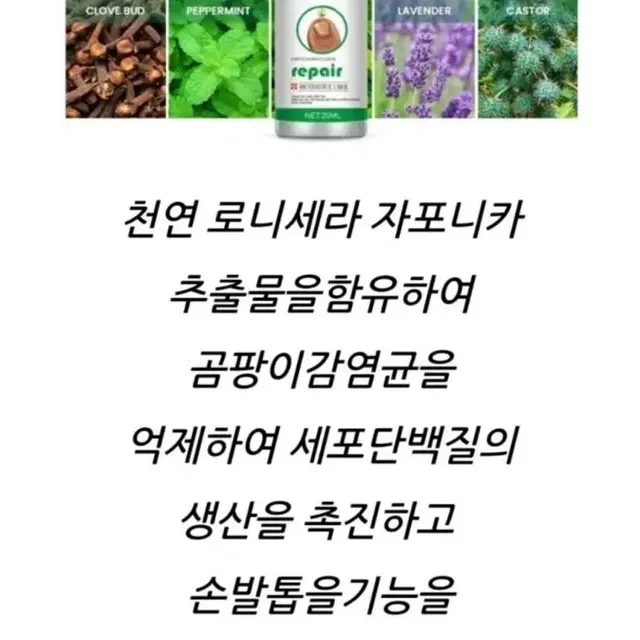 2일배송 발톱 무좀 치료 발톱 무좀 연고 진균제 손톱 염증 약