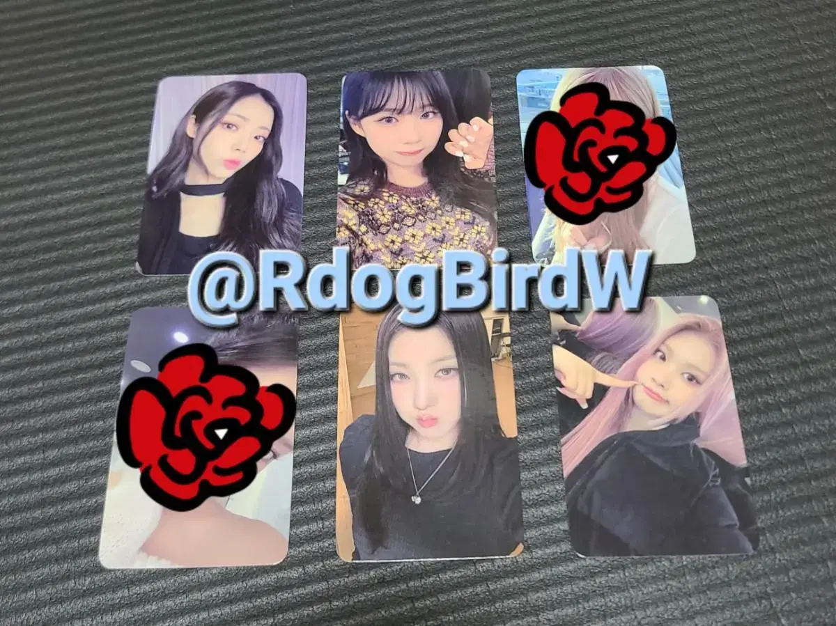 Purplekiss fan con special Gift Photo Card