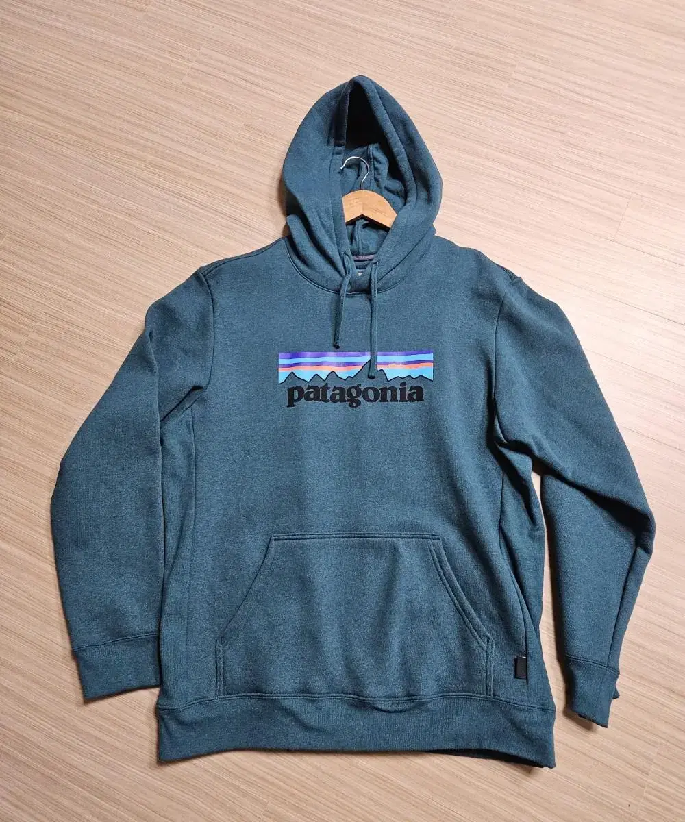 Patagonia Hoodie L Green New