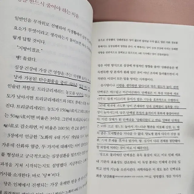 콜레스테롤 수치에 속지마라