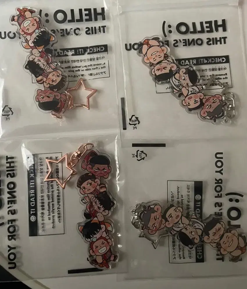 SLAM DUNK Buksan Sanwang Daerong Daerong Animals keyring Taeinim Unofficial Goods