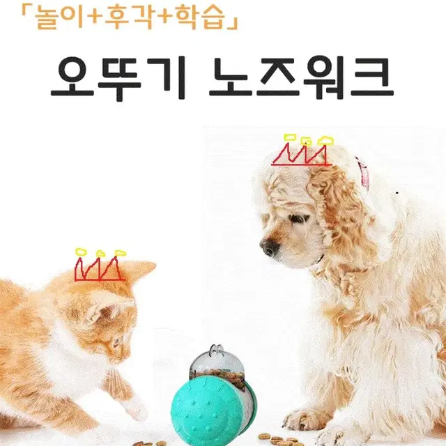 강아지 노즈워크