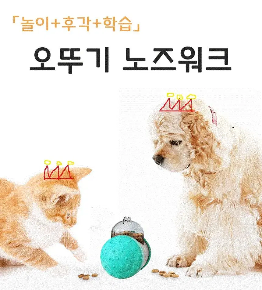 강아지 노즈워크