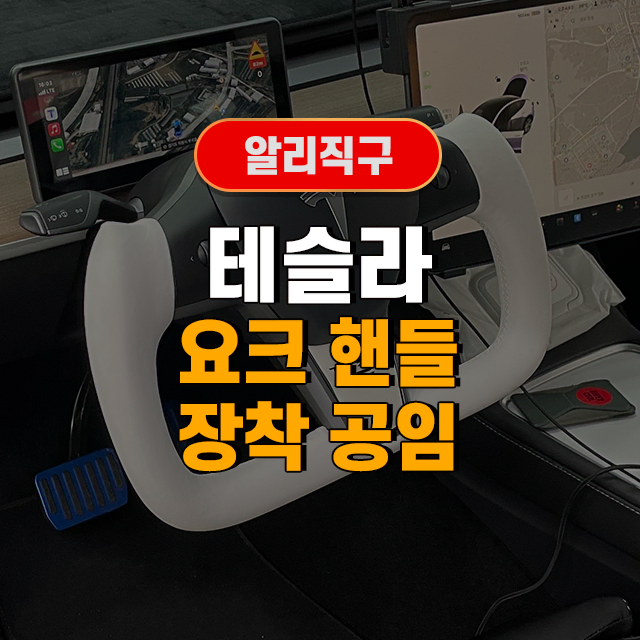 알리직구 테슬라 [요크핸들] 장착 공임