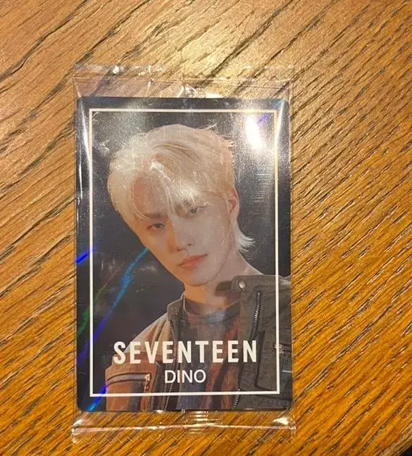 Seventeen Wehas dino WTS