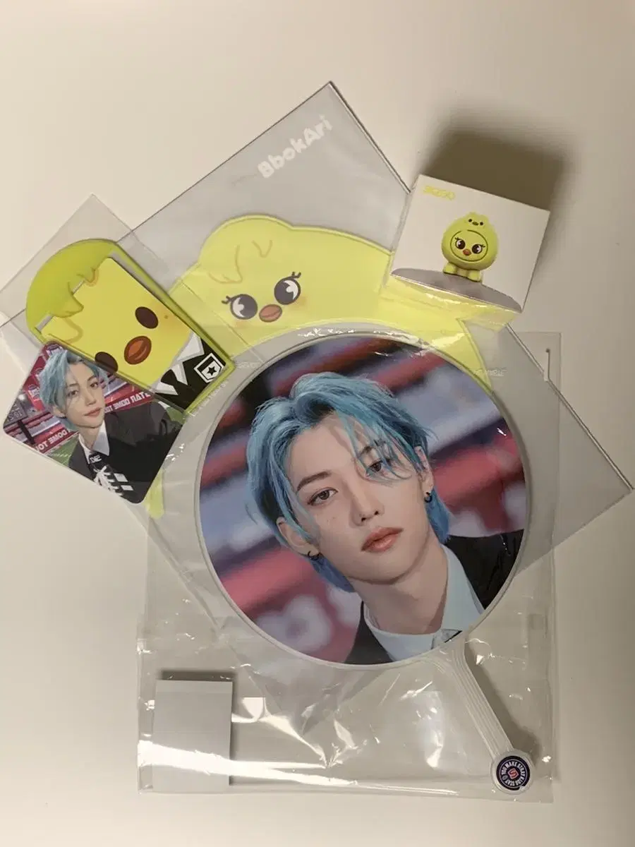 Straykids Gochuck Unveiled Concert MD wts felix han lee know