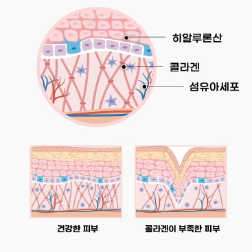 소녀 콜라겐 여자 콜라겐음료 피부관리 피부영양 여성(새상품)무료배송