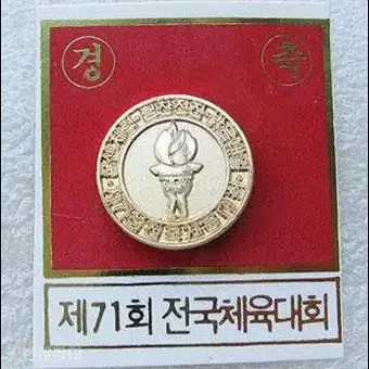 제71회 전국체육대회 배지