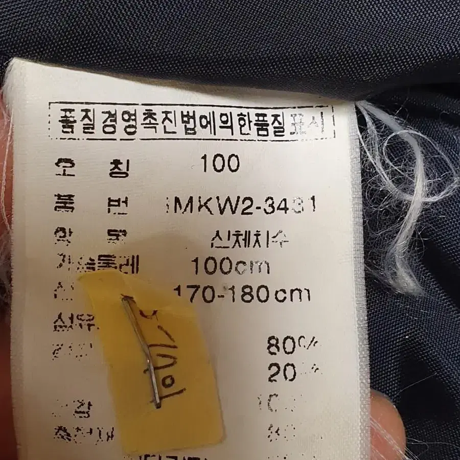 폴로 다운 봄버