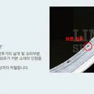 정품 후지쿠라 데이토나 LS 스피더 젝시오