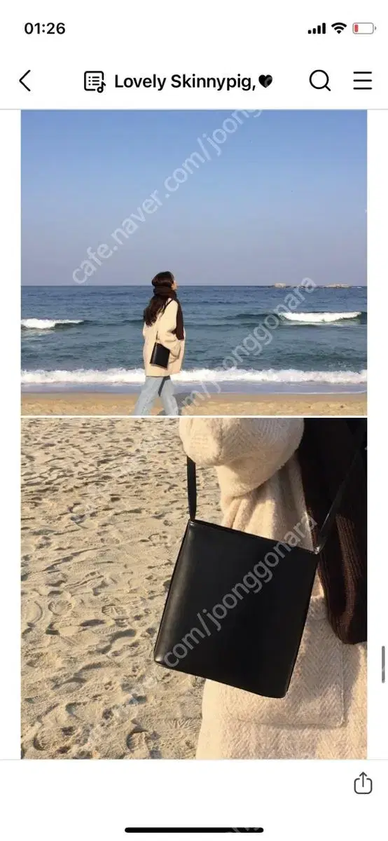 스키니피그 컴팩트백 compact bag