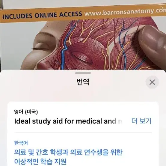 의료 및 간호 학생을 위한 의학 그림카드