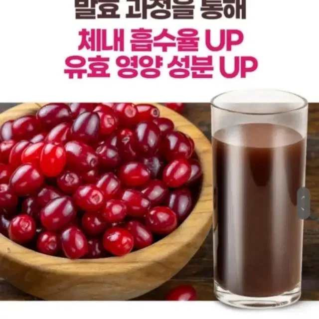 구례 발효산수유 진액 60포(217,300원ㅡ>10만원)