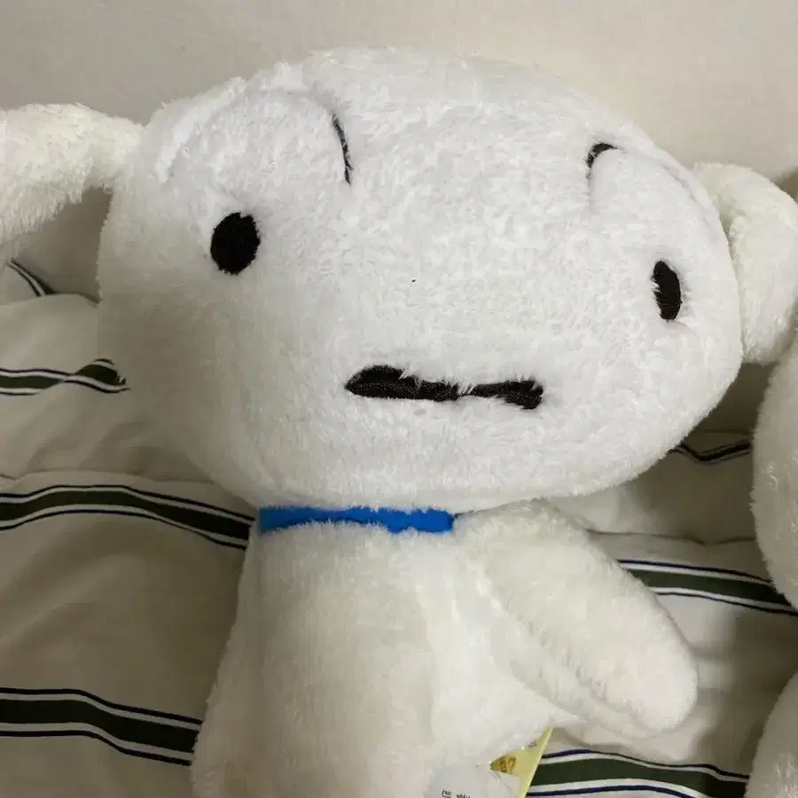 흰둥이 인형