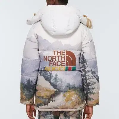 Gucci The North Face Padding