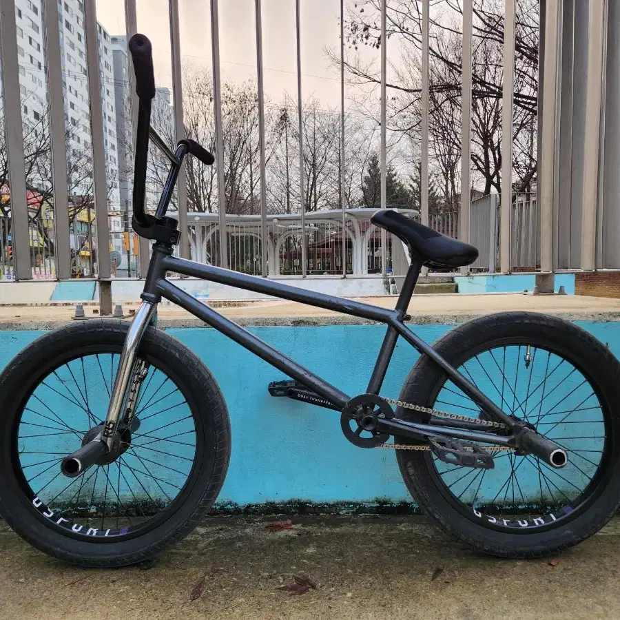 핀드 바란약 v1 bmx