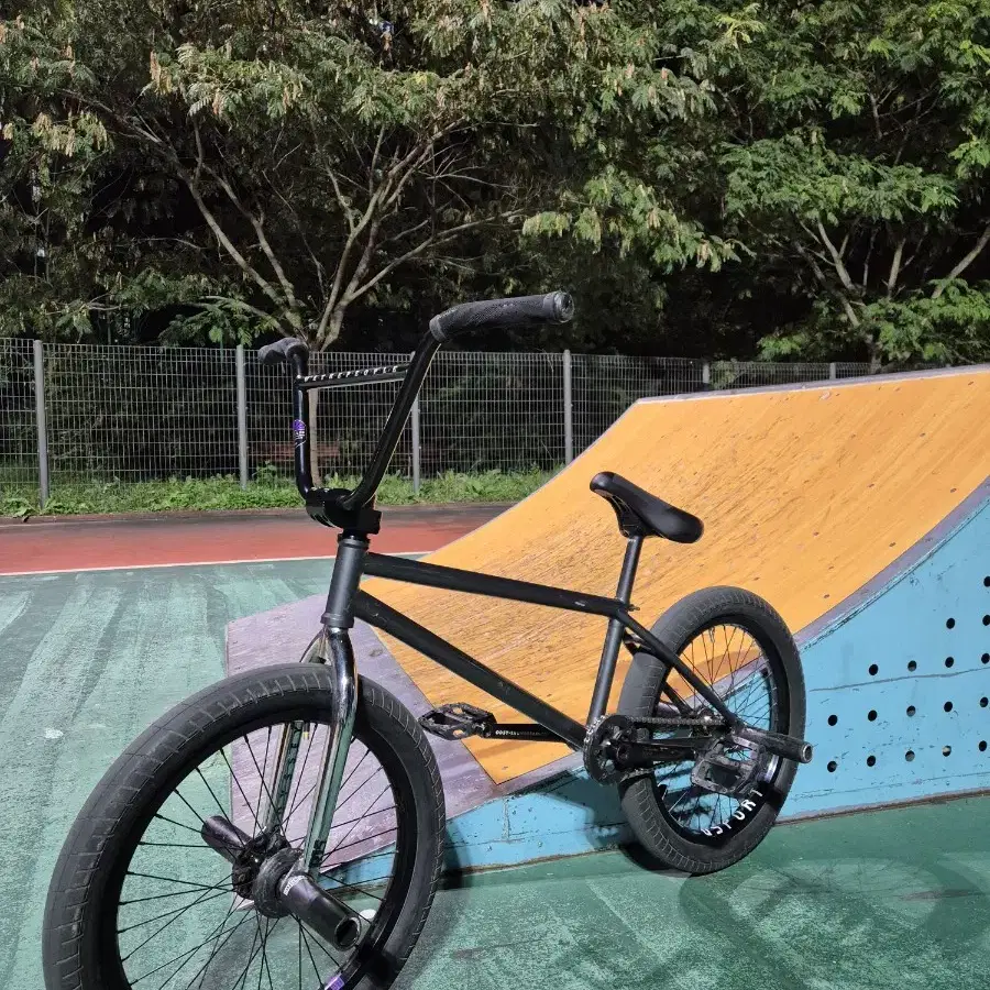 핀드 바란약 v1 bmx