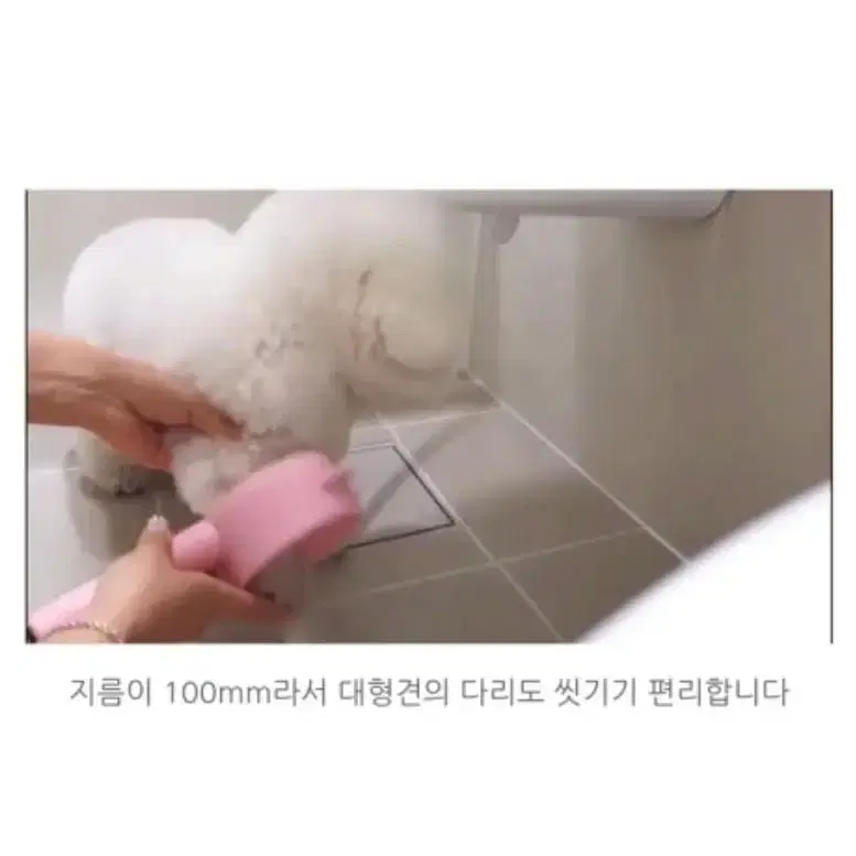 강아지 발 샤워기 포포샤워