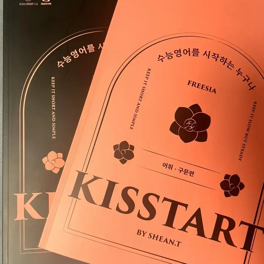 션티 kisstarr 키스타트