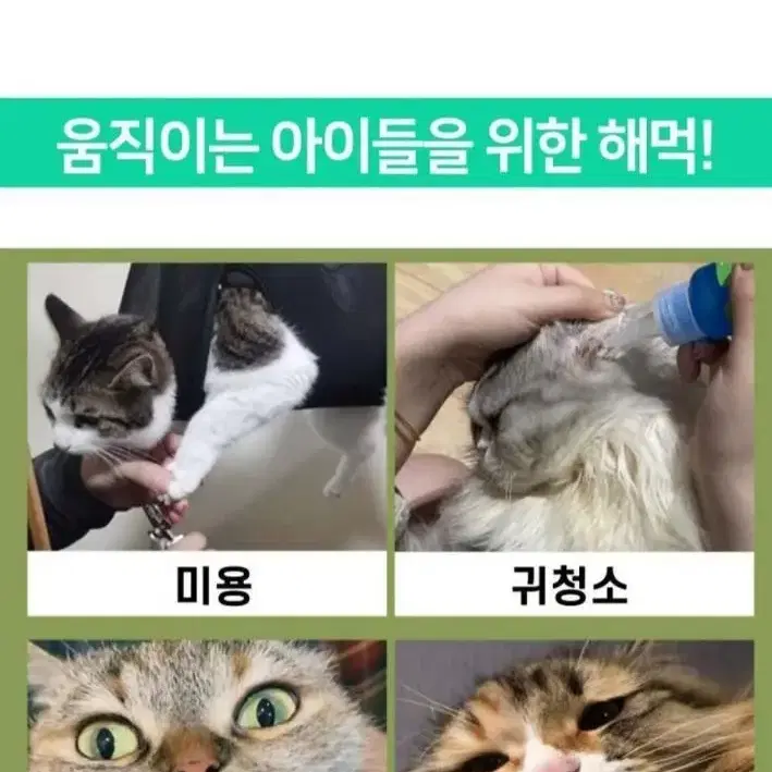 강아지 고양이 미용 해먹 거치대