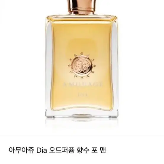 아무아쥬 디아 오드퍼퓸 포 맨 100ml (미개봉)