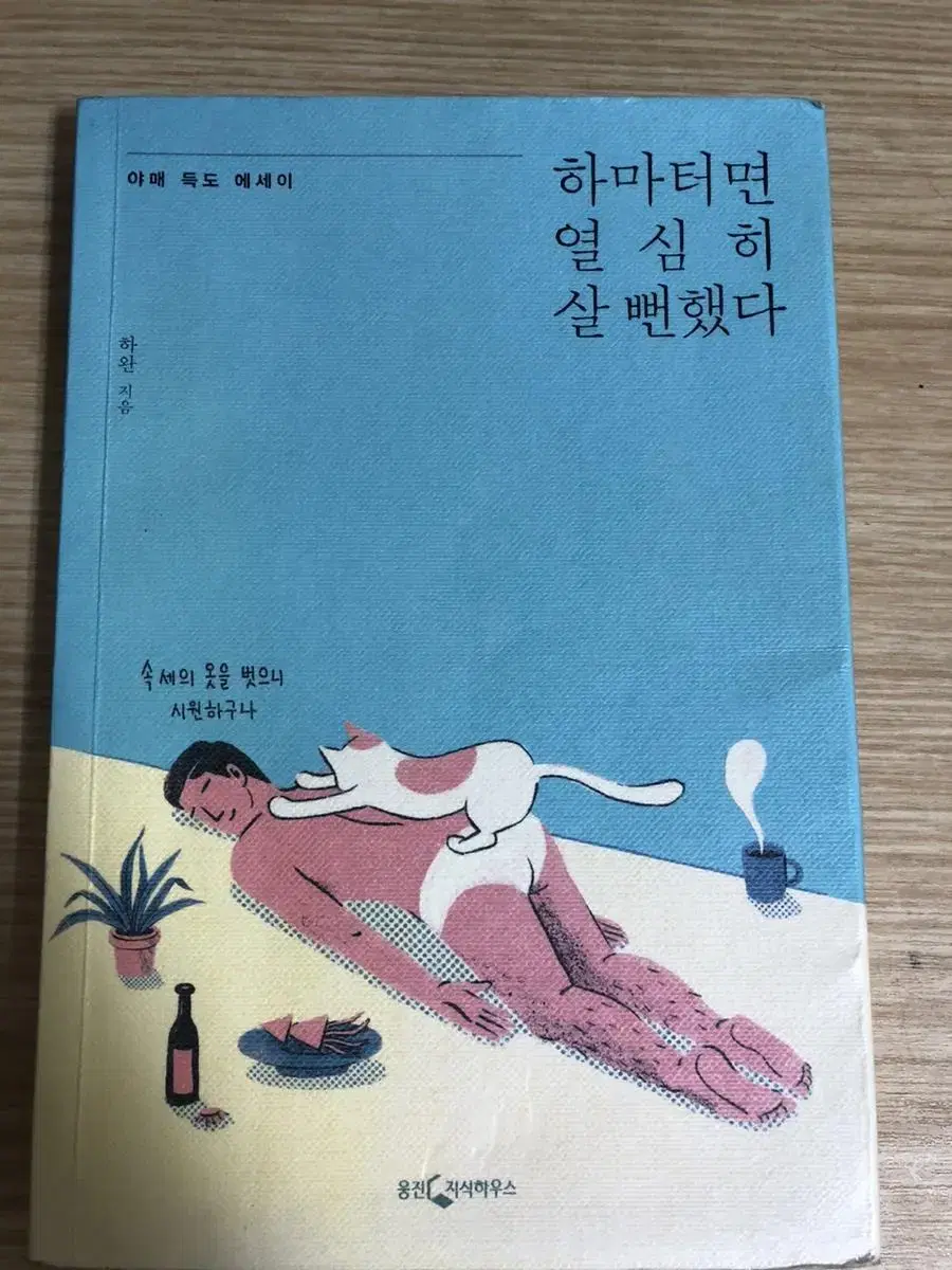 하마터면 열심히 살 뻔했다 책