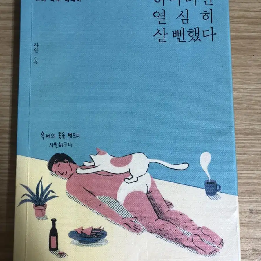 하마터면 열심히 살 뻔했다 책