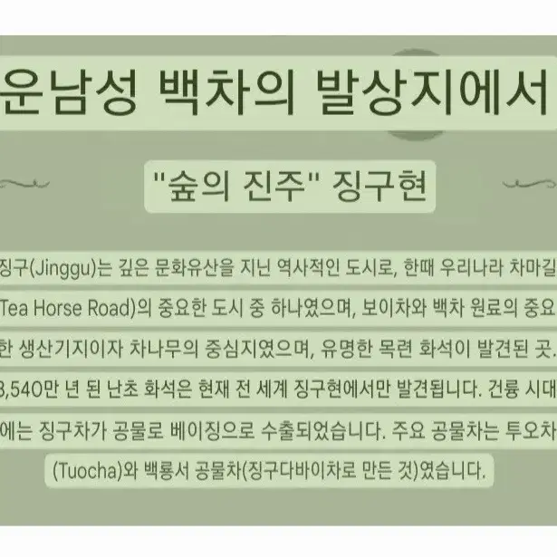 월광미인 보이차