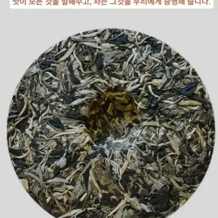 월광미인 보이차