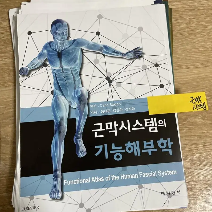 [새책] 근막시스템의 기능해부학