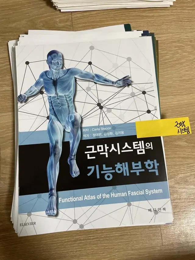 [새책] 근막시스템의 기능해부학