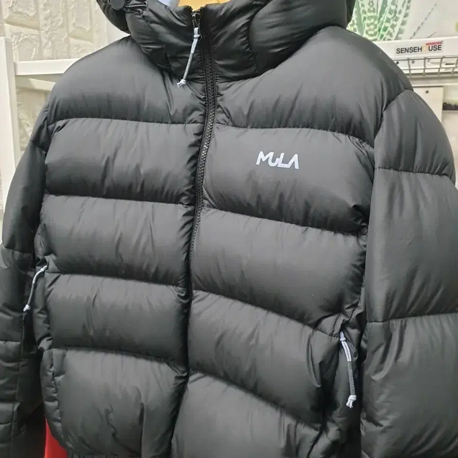 뮬라웨어 데일리 숏다운 여성 숏패딩 (M95) AC01