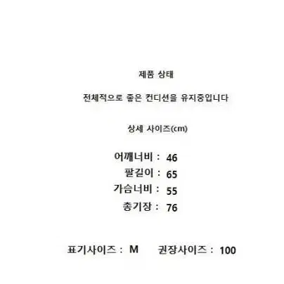 폴로 집업 긴팔티 사이즈 100