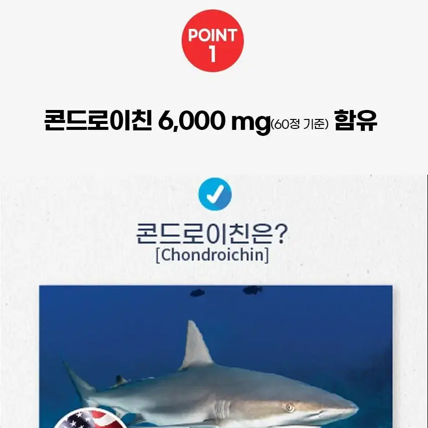 코오롱제약 콘드로이친 보스웰리아 1000mg x 60정 1통 해썹인증