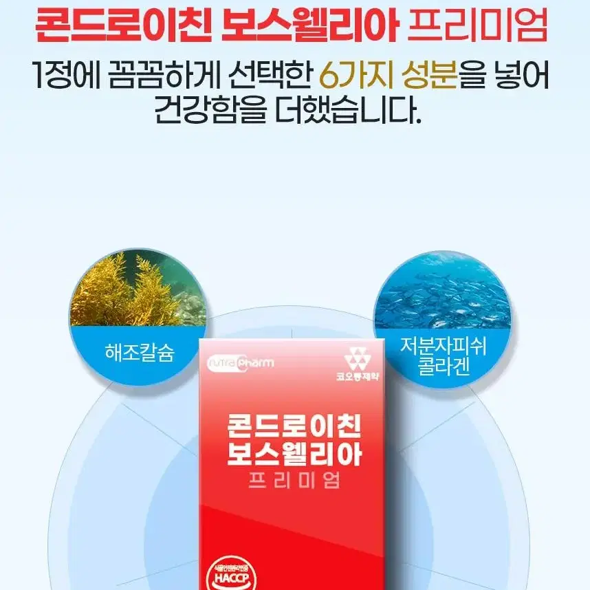 코오롱제약 콘드로이친 보스웰리아 1000mg x 60정 1통 해썹인증