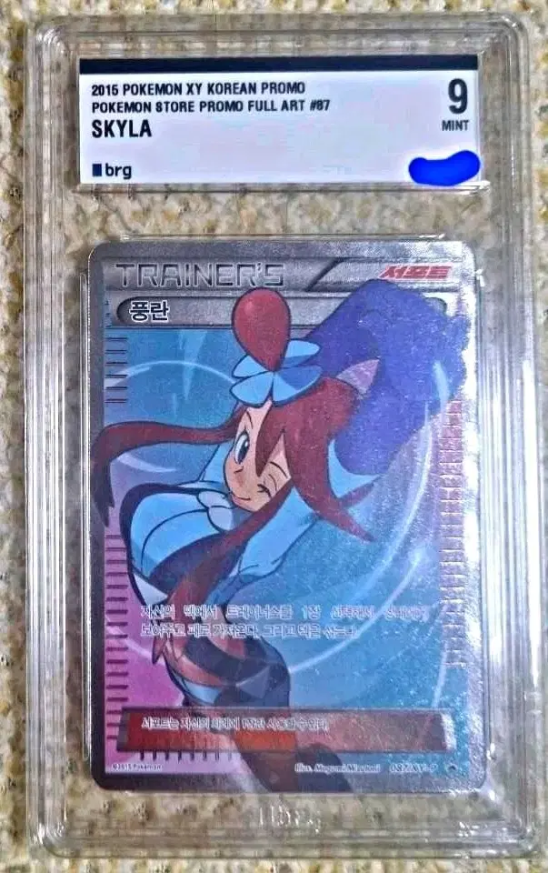 Pokémon Kards XYPromo FestivalsBRG9