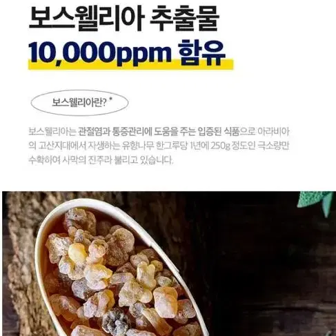 소닉보스웰리아크림, 손흥민근육리커버리크림